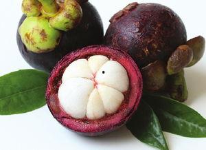 山竹娃娃白瓤黑瓜怎么吃,白瓤黑瓜的食用指南