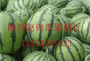 嘉兴哈密瓜行情今日价格,价格波动与市场动态一览