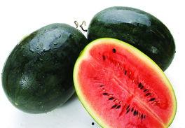 998黑料吃瓜网入口,独家入口带你探秘网络八卦世界