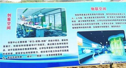 漯河吊瓜今日价格表,市场行情一览