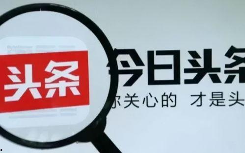 今日头条采访卖瓜事件,卖瓜事件背后的真实故事