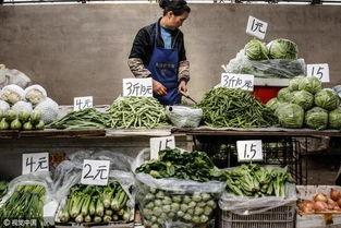 今日郑州茄瓜价格行情,今日市场动态一览