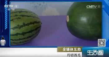 吃黑瓜不吐籽,尽享清新口感之旅