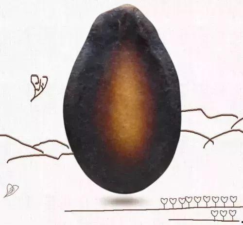 吃黑瓜不吐籽,尽享清新口感之旅