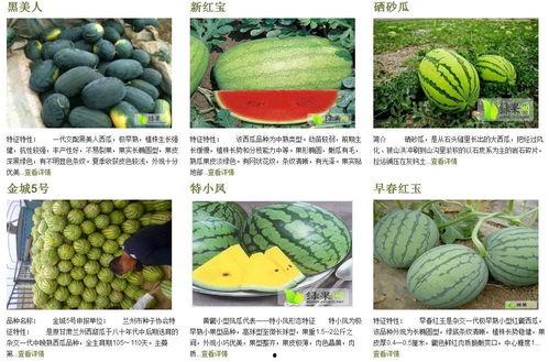 如何辨别吃瓜爆料群的真实性,如何辨别真假信息