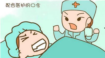 全家人吃瓜真千金爆料,全家人吃瓜真千金爆料背后的惊人真相