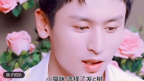 明星网红事迹素材摘抄,网红明星的励志事迹集锦