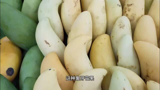 云南茭瓜今日价格行情,今日市场动态一览