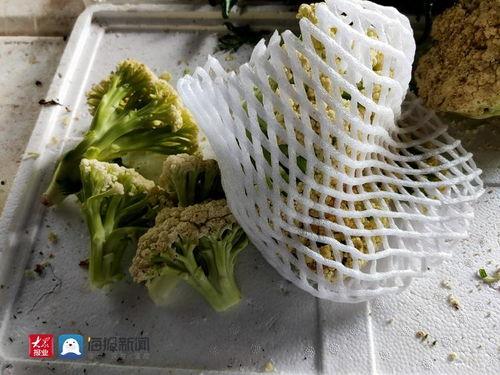 云南茭瓜今日价格行情,今日市场动态一览