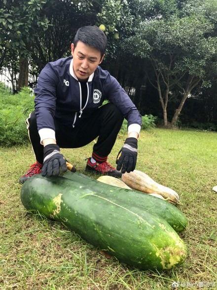 有一个吃瓜爆料网叫什么