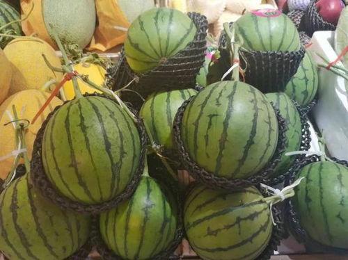 有一个吃瓜爆料网叫什么