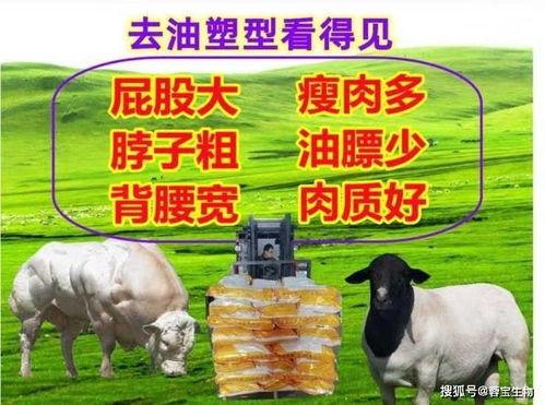 三只羊吃瓜黑料爆料网,揭秘网络舆论背后的真相