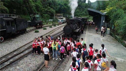 今日看料每日一瓜av,每日一瓜av背后的故事与真相