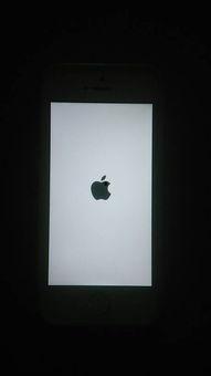 51黑瓜吃料网入口白屏,51黑瓜吃料网入口白屏问题解析与解决攻略