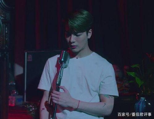 吃瓜爆料刘宪华王嘉尔视频,揭秘娱乐圈幕后故事