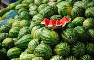 吃黑瓜网怎么进2024,轻松解锁精彩内容