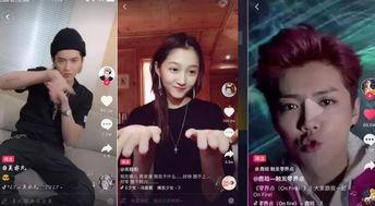 关于明星网红视频素材