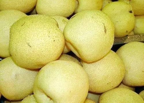 商丘310市场今日哈密瓜,新鲜上市，甜蜜来袭