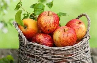 黑瓜吃料网官网入口苹果,苹果资讯一网打尽，尽享科技美食盛宴