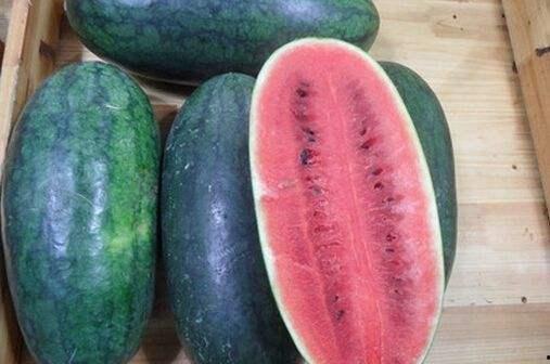 黑料吃瓜网66fxw,带你走进网络八卦的神秘世界