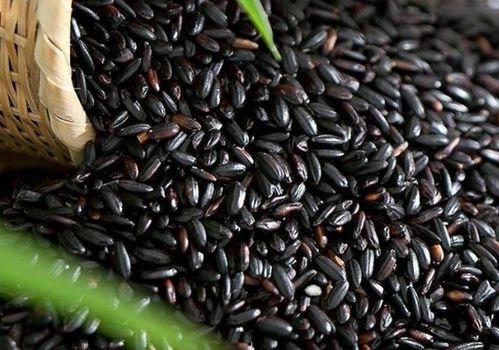 角瓜跟黑米能一起吃吗,健康搭配的饮食新选择