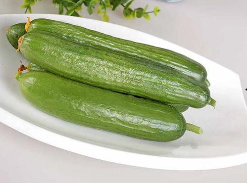 今日荷兰瓜的批发价,品质与价格的完美结合