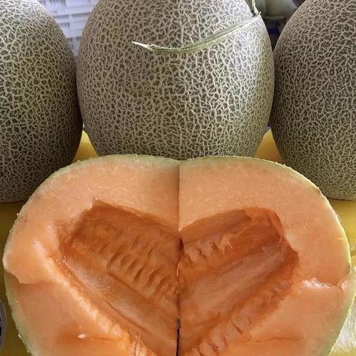 哈密瓜今日最新价格上海,新鲜上市，价格行情一览