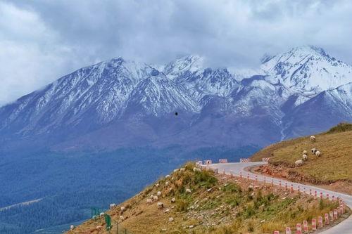 西宁吃瓜最新事件爆料是真的吗,最新爆料真相揭秘