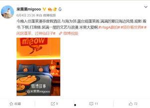 明星网红来南宁打卡,明星效应引领潮流之旅