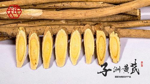 上热门瓜州黄芪,探寻千年药草的传奇魅力