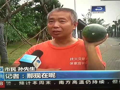 近期热门吃瓜事件主播是谁,揭秘近期热门吃瓜事件背后的神秘主播