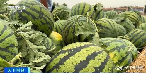 热门v区瓜条,热门话题背后的真相与争议