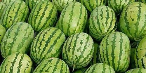 热门v区瓜条,热门话题背后的真相与争议