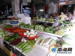 芦苞今日市场瓜菜批发,今日行情一览