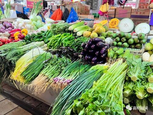 芦苞今日市场瓜菜批发,今日行情一览