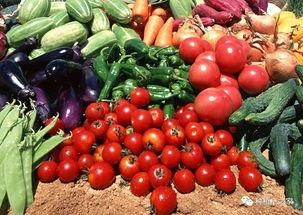 上海今日瓜菜价格表,部分品种上涨明显