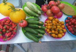 上海今日瓜菜价格表,部分品种上涨明显