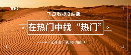 热门瓜在哪里可以找到,一网打尽全网热点资讯