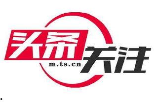 土瓜岭新闻今日头条,聚焦今日热点，解码社区新动态