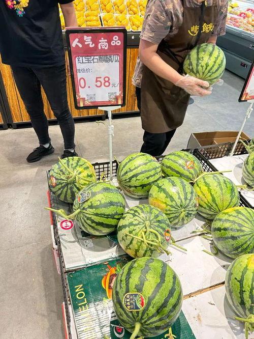 嘉兴市场今日麒麟瓜行情,今日价格波动及市场动态