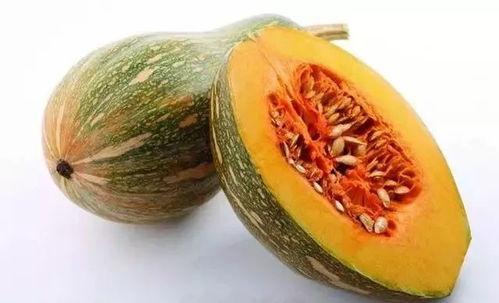 什么鱼吃黑蜜瓜好养殖,探究适宜鱼类养殖品种