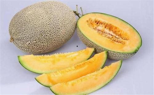 什么鱼吃黑蜜瓜好养殖,探究适宜鱼类养殖品种