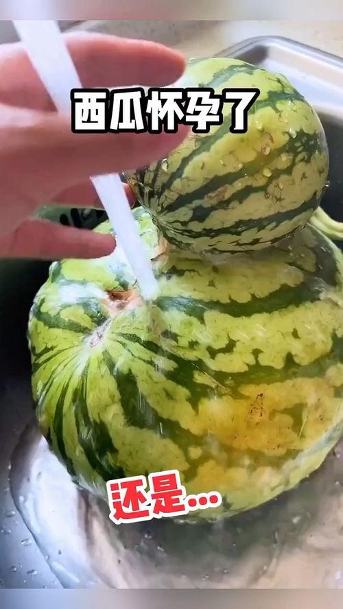 热门吃瓜今日吃瓜视频,揭秘吃瓜视频背后的热点事件