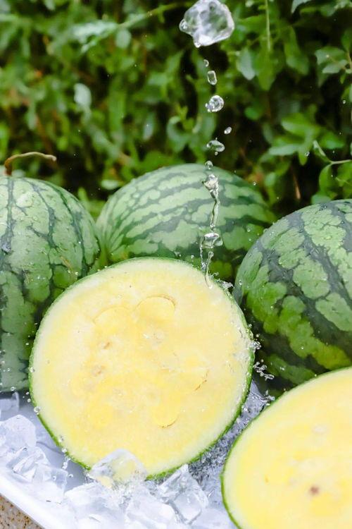 718黑料吃瓜热点曝光,吃瓜群众揭秘娱乐圈热点事件