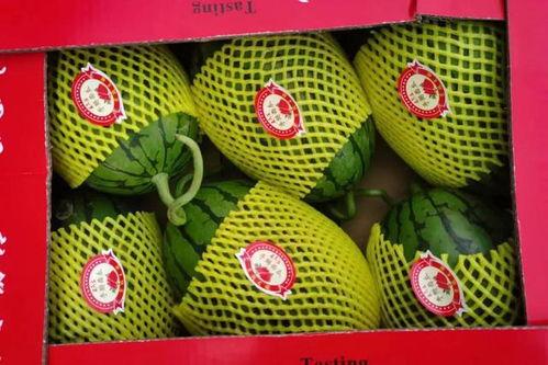 今日翠绿吊瓜价格行情,涨跌互现，市场动态解析