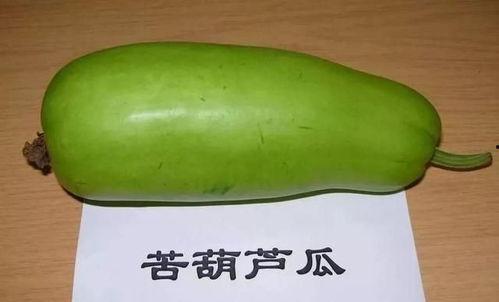 吃葫芦瓜拉黑便,葫芦瓜饮食与黑便现象探究