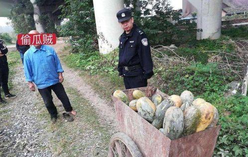 偃师近期热门吃瓜事件,揭秘近期热门吃瓜事件背后的真相