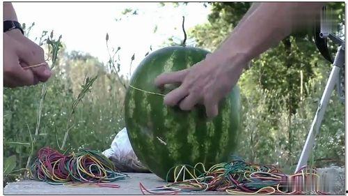 热门娱乐瓜,揭秘最新热门娱乐瓜