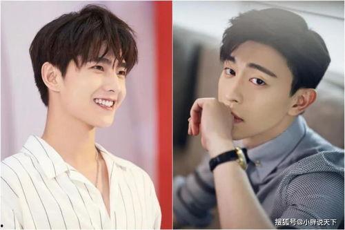 明星网红对审美影响,解码当代审美风向标