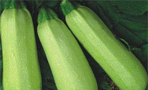 热门事件往期内容吃瓜,回顾往期吃瓜盛宴，探寻真相背后的故事